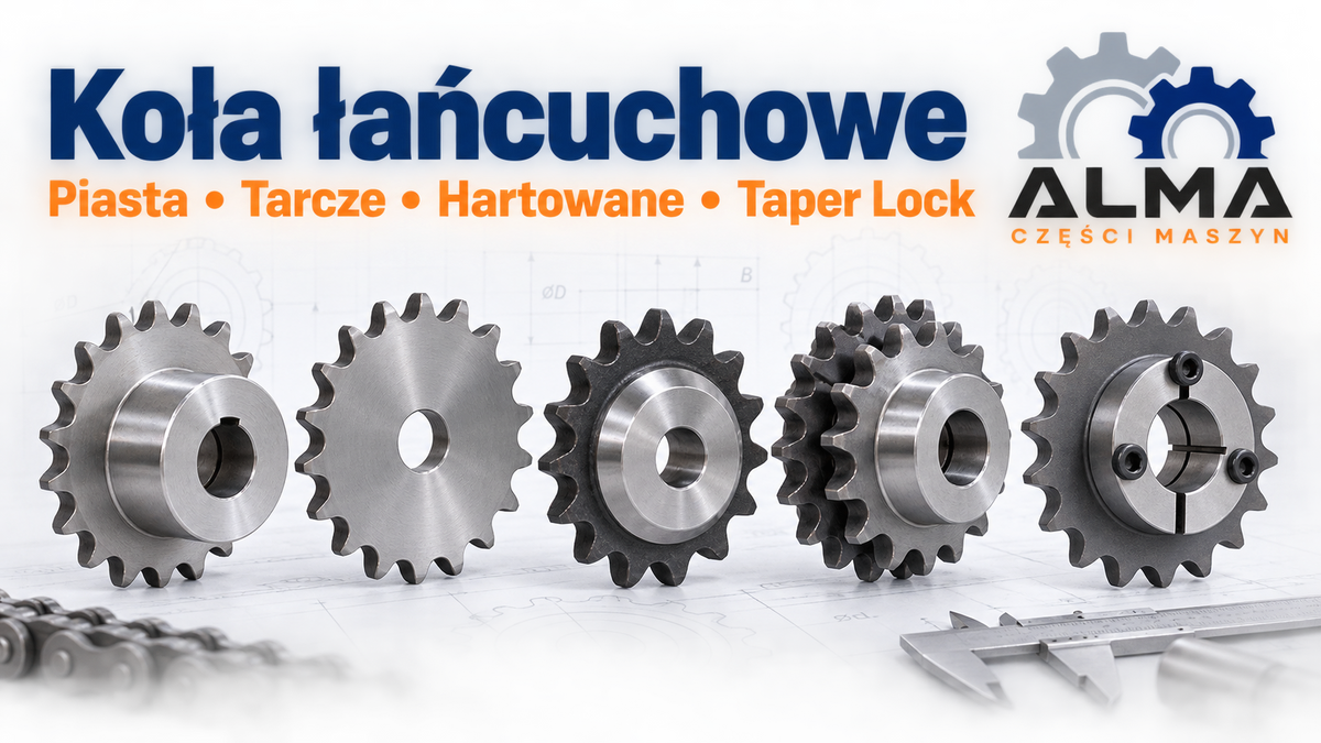 Koła łańcuchowe z piastą, tarczowe, hartowane, duplex i Taper Lock – ALMA